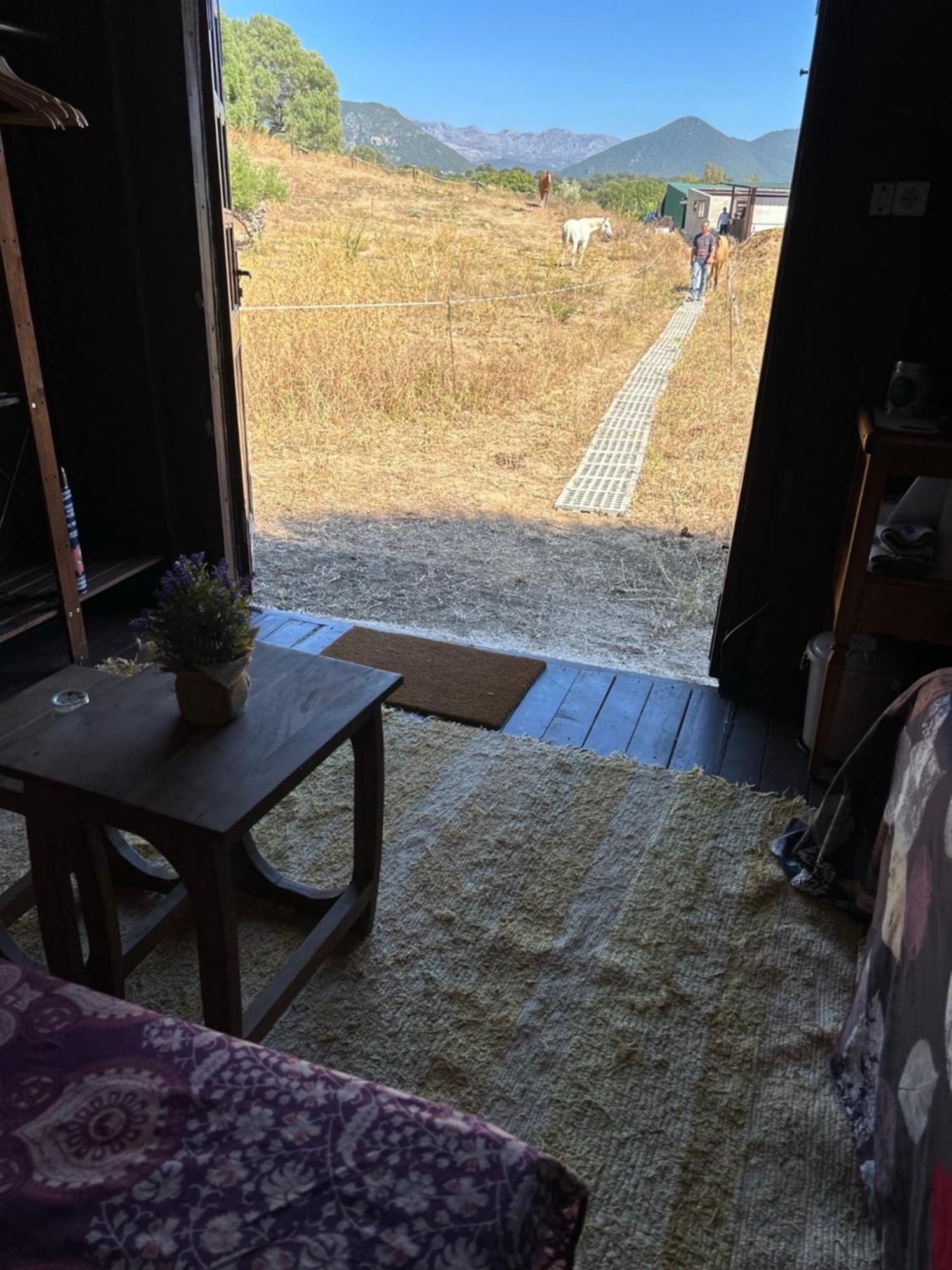 Cabana Rustica En Un Rancho Con Caballos, Prado Del Rey, Andalucia Ngoại thất bức ảnh
