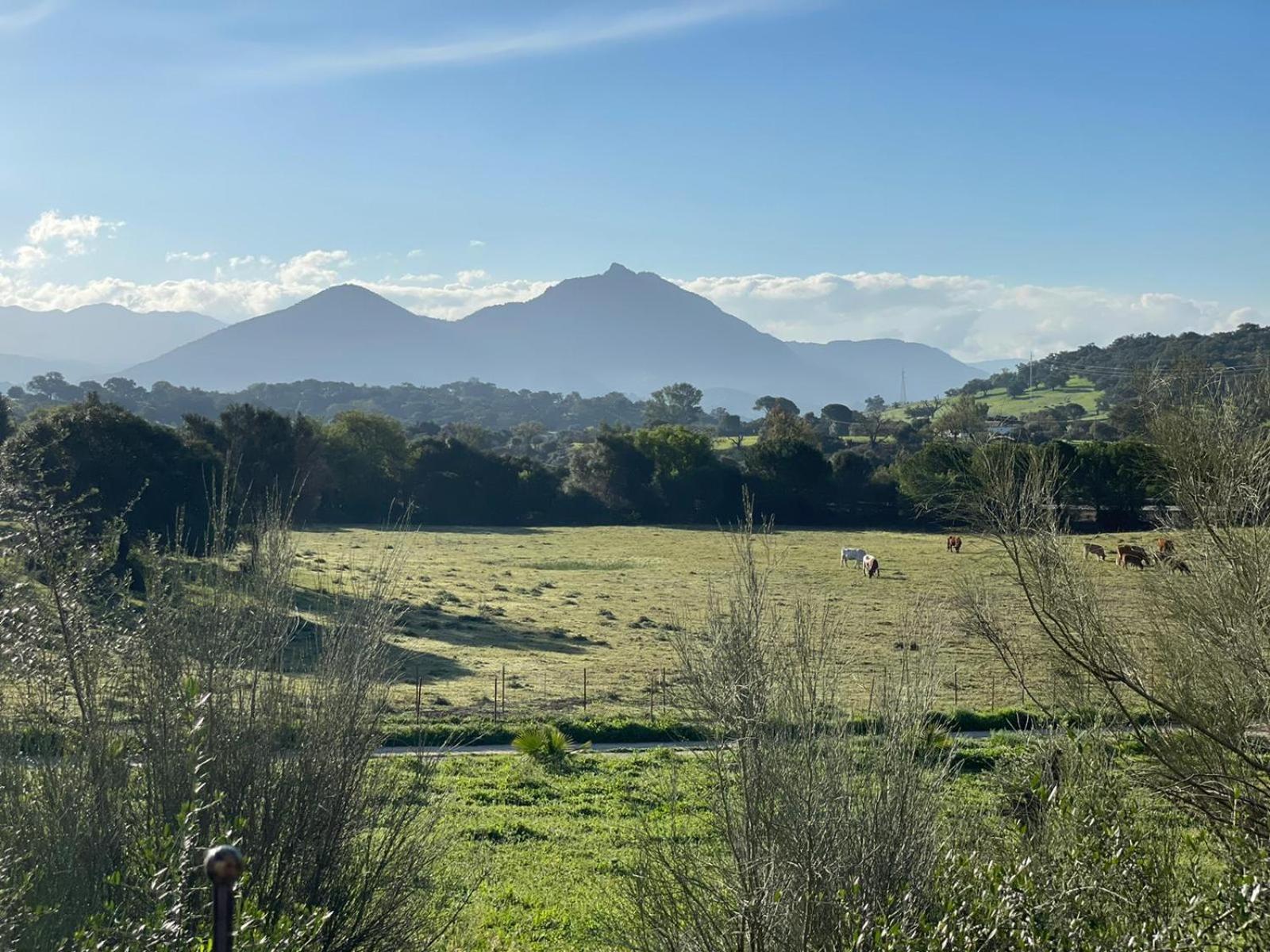 Cabana Rustica En Un Rancho Con Caballos, Prado Del Rey, Andalucia Ngoại thất bức ảnh
